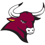 米沙大学logo