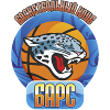 巴尔斯logo