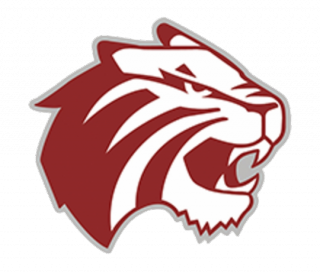 三一大学(德州)logo