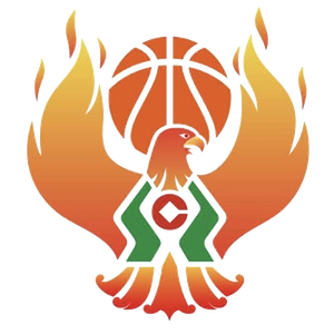 内蒙古农信女篮logo