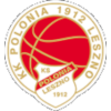 莱什诺logo
