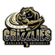 奥克兰大学logo