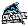 保和CPG海豚logo