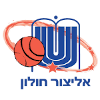 霍龙女篮logo
