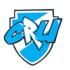 康塞普西翁U23logo