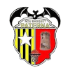 NB帕特纳女篮logo