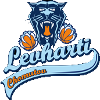 霍穆托夫猎豹logo