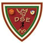 VMG DSElogo