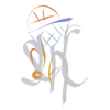 赛杜logo