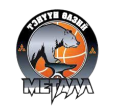 特农冶金logo