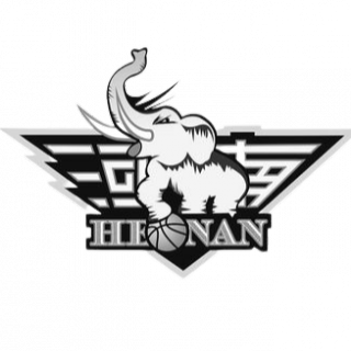 河南金象U21logo