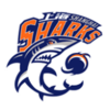 上海久事后备队logo