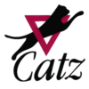 拉皮兰塔女篮logo