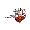 陕西女篮logo