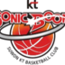 水原音速弹后备logo