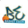 埃施女篮logo