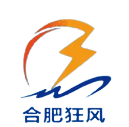 合肥狂风U21logo