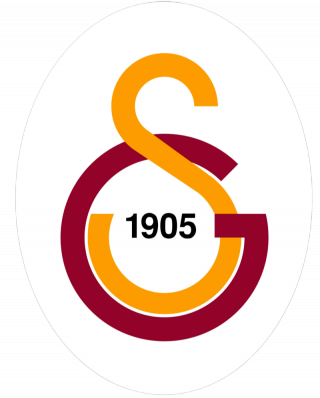 GS加希尼女篮logo