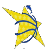 阿什杜德女篮logo