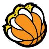 危地马拉城捷豹logo
