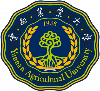 云南农业大学女篮logo