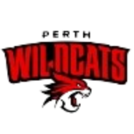 珀斯野猫logo