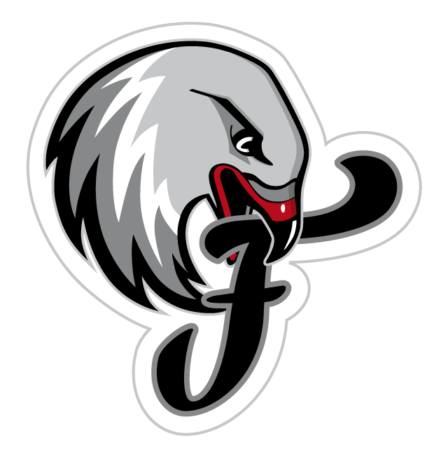 纽伦堡猎鹰logo