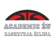 斯利纳大学logo