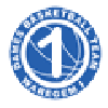 DS瓦勒海姆女篮logo