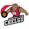 ChelSU科斯坦尼logo
