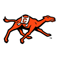 坎贝尔女篮logo