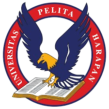 希望之光大学女篮logo