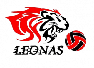 庞塞母狮女篮logo