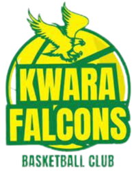 夸拉猎鹰logo