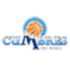 莫勒峰女篮logo
