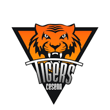 阿马多里切塞纳老虎logo