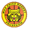 普鲁斯科夫logo
