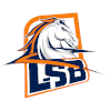 索拉卡纳logo