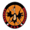 CDE金塔纳尔logo
