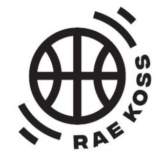 汉萨维米斯特卢斯logo