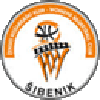 希贝尼克女篮logo