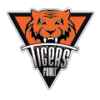 罗马涅logo