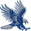 RS蓝鹰logo