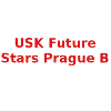 USK布拉格女篮B队logo