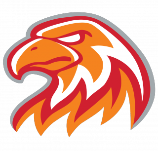 田纳西南方大学女篮logo