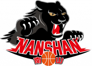 新北市南山高中队logo