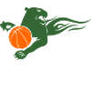 图达杜利斯logo