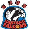 南洋猎鹰logo