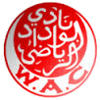 外傣logo