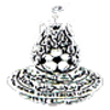 维德拉logo